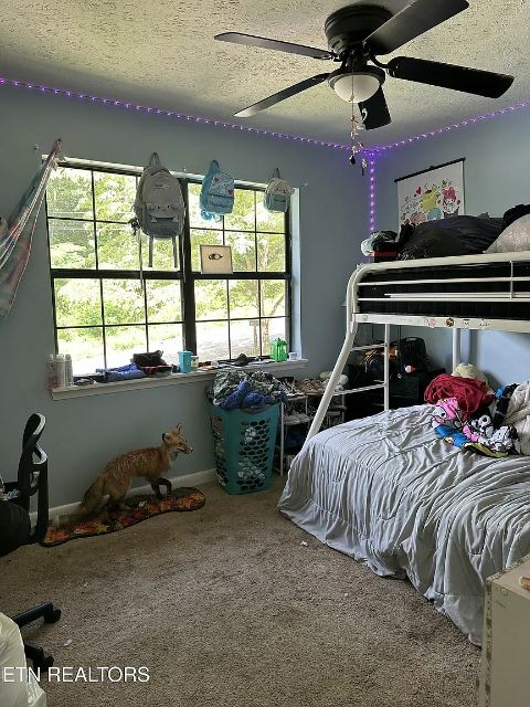Summit Drive photo 18