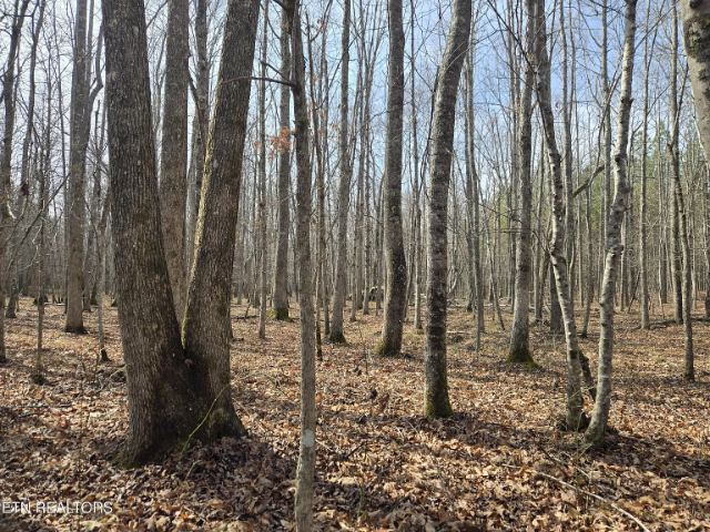 Cottonwood Tr photo 24