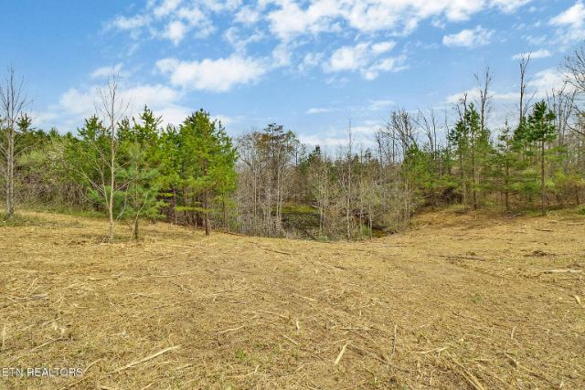 Grassy Knob Road photo 15