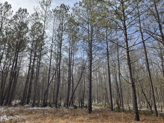 Cottonwood Tr photo 21