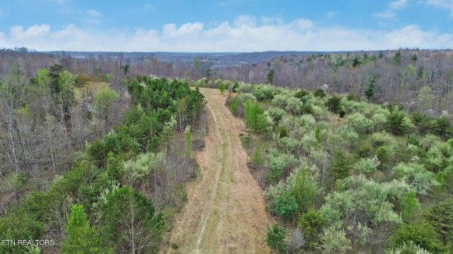 Grassy Knob Road photo