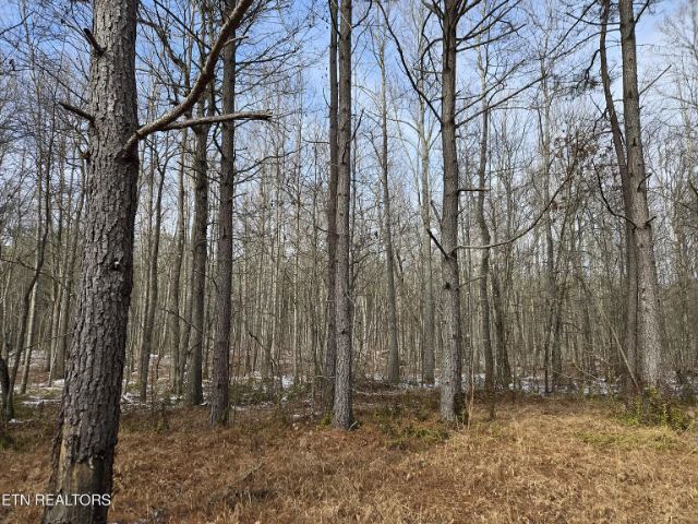 Cottonwood Tr photo 15