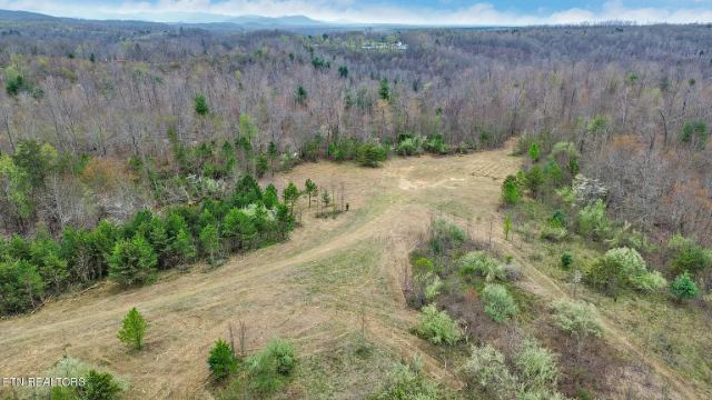 Grassy Knob Road photo