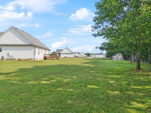 Mcbride Road photo 59