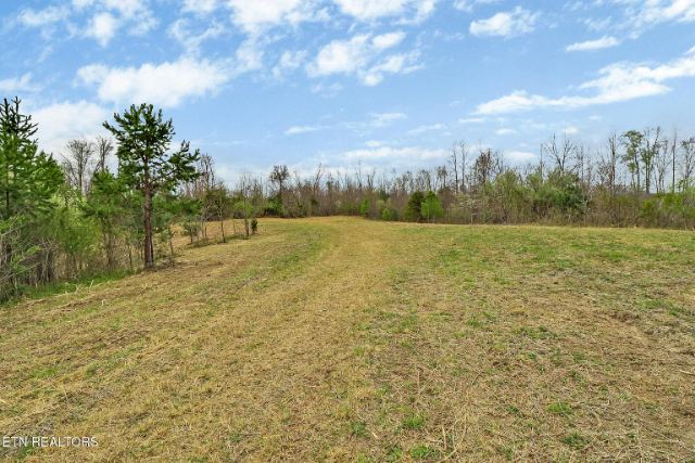 Grassy Knob Road photo 14