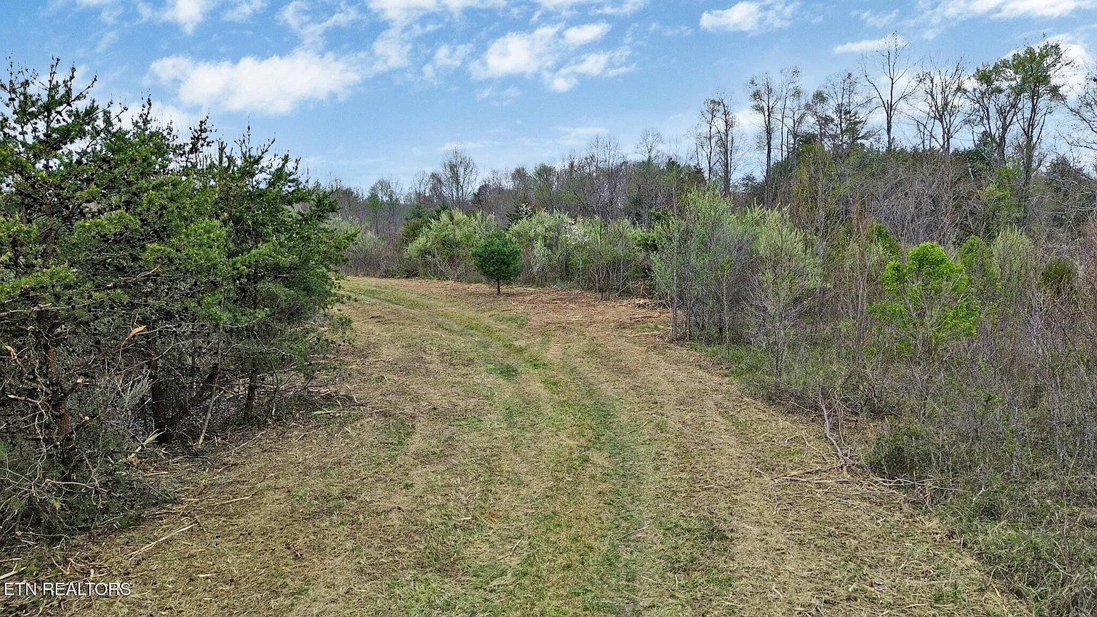 Grassy Knob Road