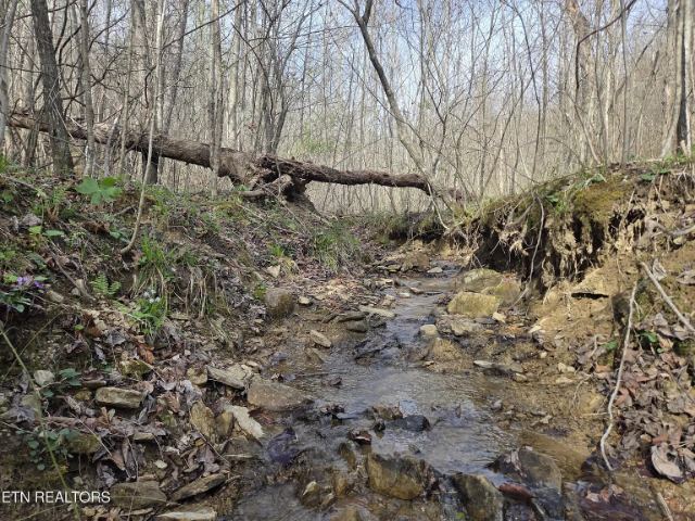 Grassy Knob Road photo 13