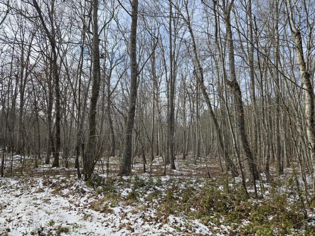 Cottonwood Tr photo 11
