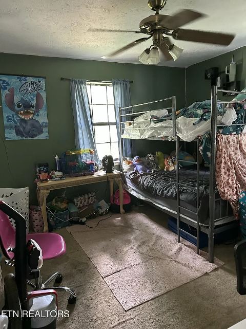 Summit Drive photo 14