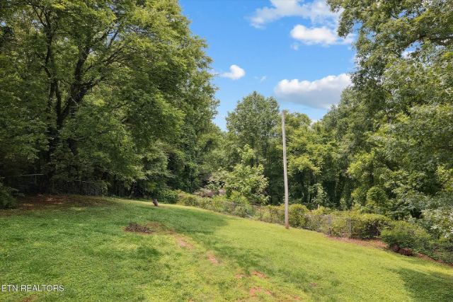 Crescent Drive photo 47