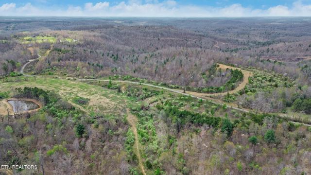 Grassy Knob Road photo 2